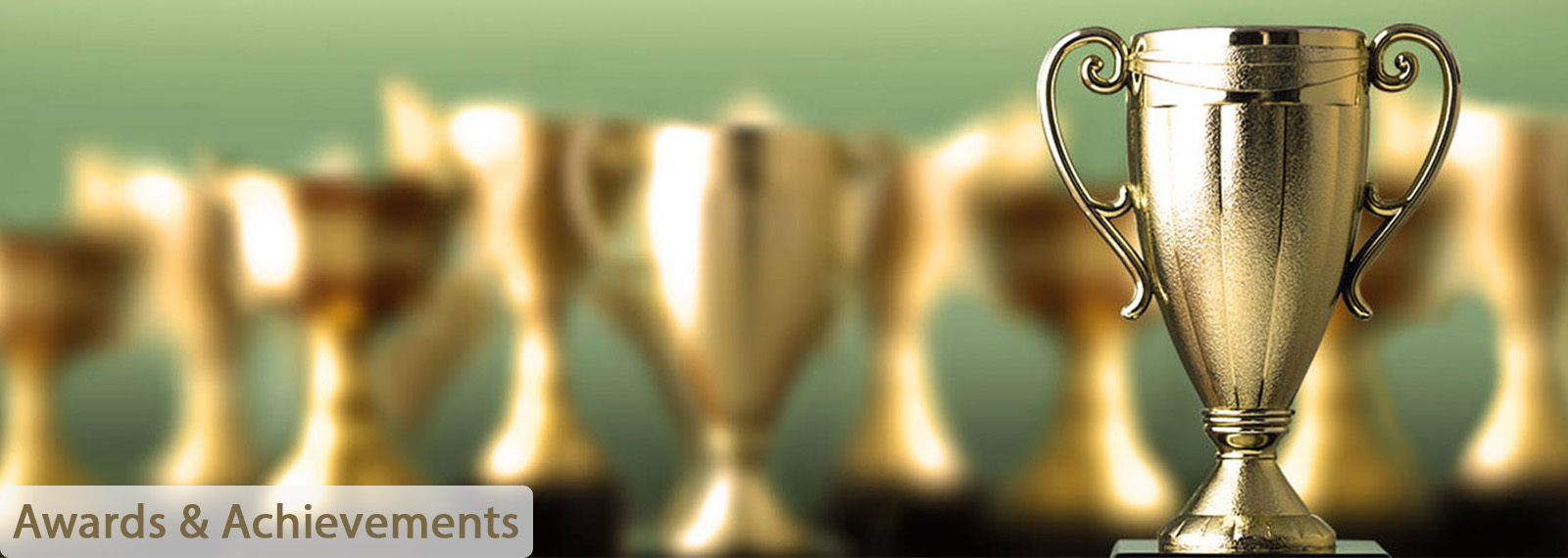 Awards &amp; Achievements